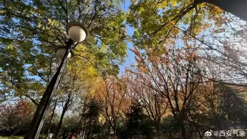 4月2日以来是什么意思　4月5日是什么节-第1张