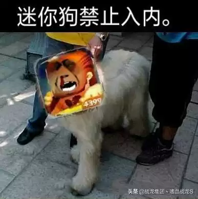 迷你世界正规吗　迷你世界的评价-第1张