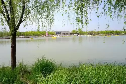 洛克王国冒险岛怎么找　洛克王国怎么找孵蛋的地方-第1张