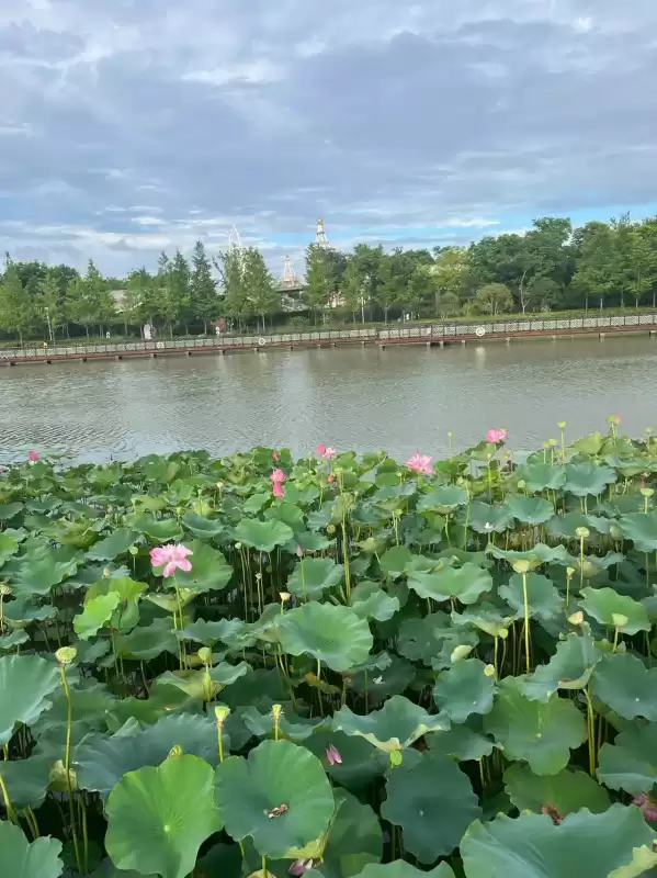 洛克王国冒险岛怎么找　洛克王国怎么找孵蛋的地方-第15张