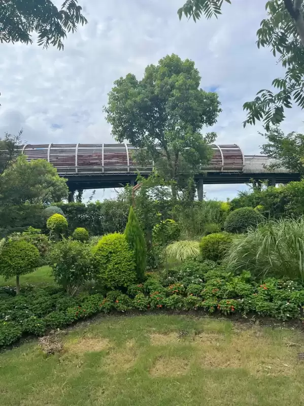 洛克王国冒险岛怎么找　洛克王国怎么找孵蛋的地方-第19张