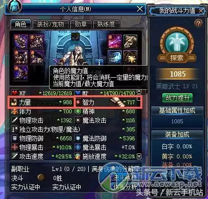 黑暗武士穿什么甲才有伤害　自觉黑暗武士穿重甲-第6张
