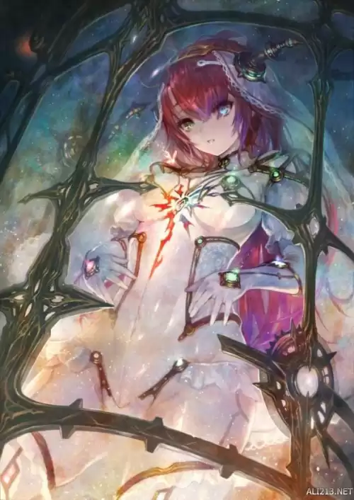 暗夜魔法使是百合吗　魔女与使魔-第1张