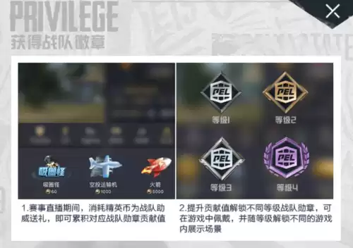 吃鸡里面紫色logo是什么　和平精英可以买的Logo-第5张