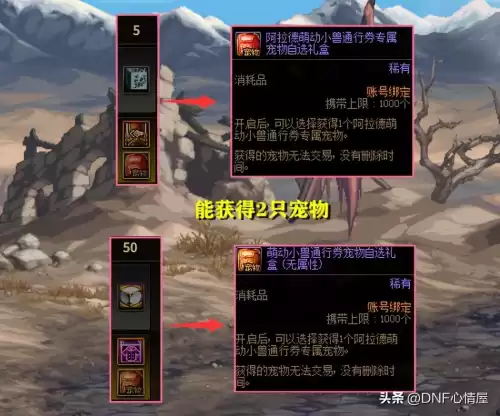 dnf狗套需要穿多少个部位　地下城动物套-第6张