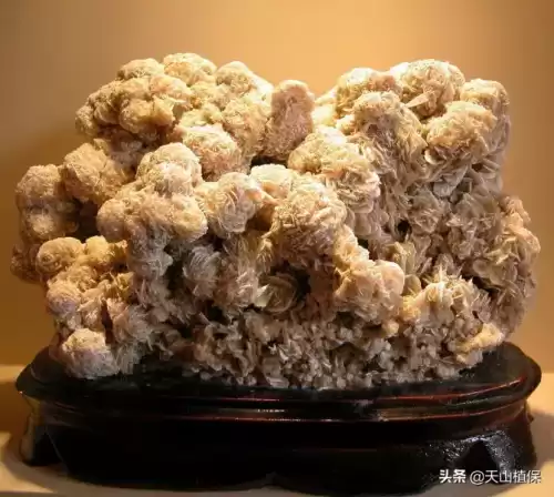 沙漠玫瑰石多少钱一颗　沙漠玫瑰石头价钱-第2张