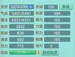 神武4一个饰品加多少伤害　神武4 100项链满灵多少-第5张