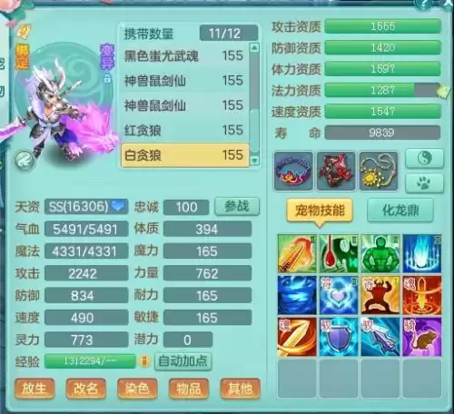 神武4一个饰品加多少伤害　神武4 100项链满灵多少-第6张