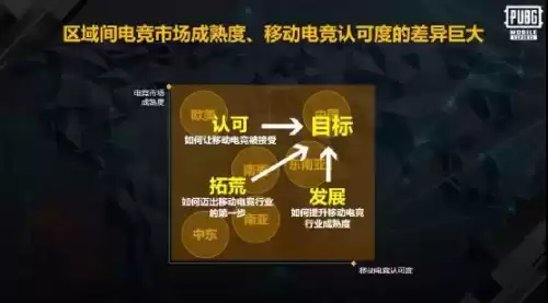 pubg赛事媒介是干什么的　PUBG赛事-第2张