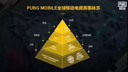 pubg赛事媒介是干什么的　PUBG赛事-第5张
