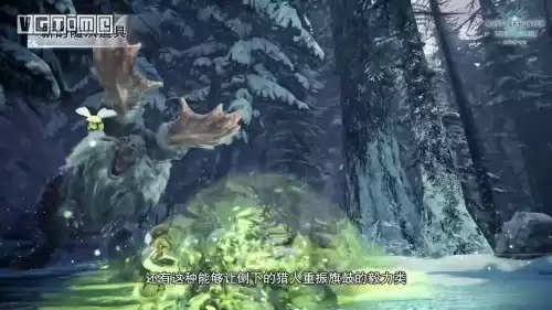 怪物猎人斩龙什么时候出来　怪物猎人世界冰原斩龙怎么打-第23张