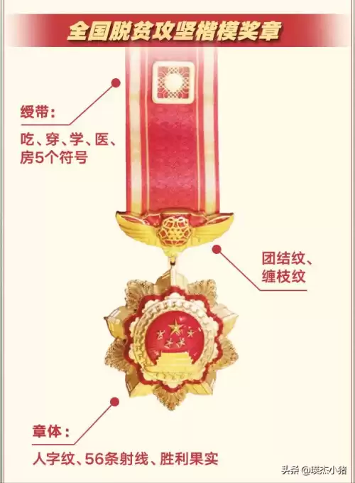 战士荣誉勋章分几级　奥地利大荣誉级功勋荣誉勋章-第6张