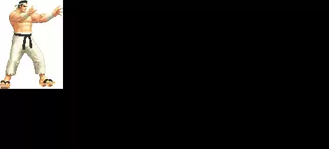 拳皇ex必杀技是什么　太佳的必杀技是什么-第14张