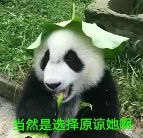 原神任务战备是怎么进　原神怎么去战备室-第8张