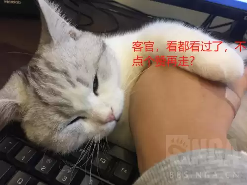 梦奇出ad装怎么克制　克制梦奇的英雄有哪些-第6张