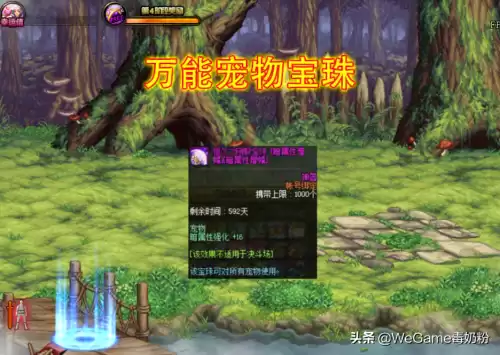 dnf加16属强的宠物宝珠　dnf现在宠物16属强宝珠还有么-第1张