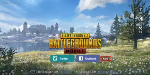 安卓手机怎么下pubgmobile　pubgmobilelite教程-第1张
