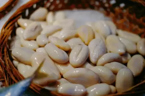 迷你世界怎么做乌贼蛋　迷你世界生物蛋怎么获得-第1张