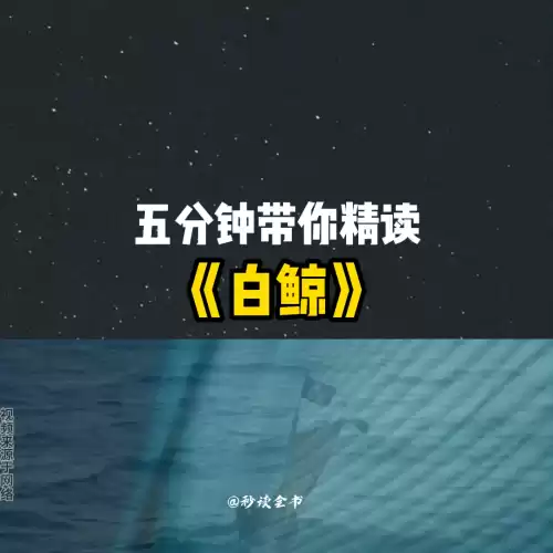 白鲸莫比迪最后怎么样了　《白鲸》讲的什么-第1张