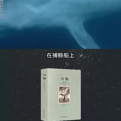 白鲸莫比迪最后怎么样了　《白鲸》讲的什么-第2张
