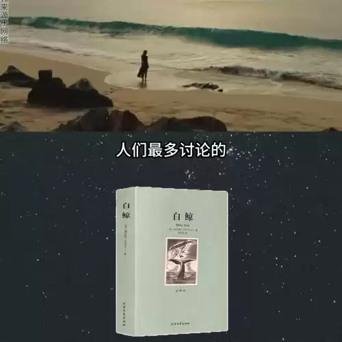 白鲸莫比迪最后怎么样了　《白鲸》讲的什么-第7张