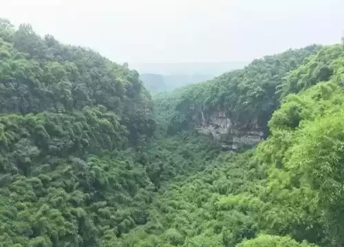 仙侣情缘妖龙怎么走　御剑情缘妖王的位置在哪里-第23张