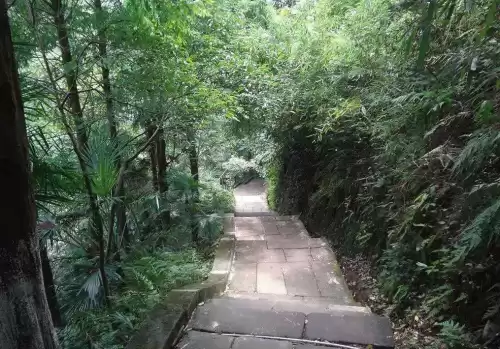 仙侣情缘妖龙怎么走　御剑情缘妖王的位置在哪里-第21张