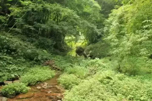 仙侣情缘妖龙怎么走　御剑情缘妖王的位置在哪里-第25张
