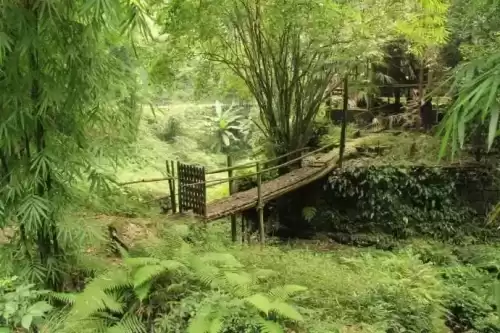 仙侣情缘妖龙怎么走　御剑情缘妖王的位置在哪里-第27张