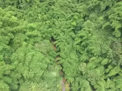 仙侣情缘妖龙怎么走　御剑情缘妖王的位置在哪里-第31张