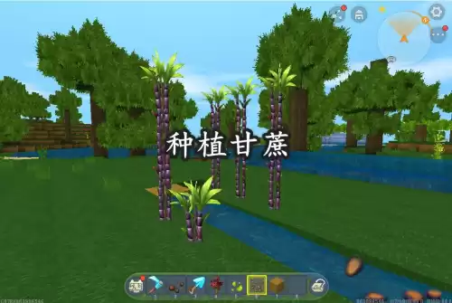 迷你世界如何种植花草树木　怎么种植植物-第8张