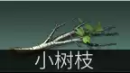 明日之后采集队送什么最好　明日之后采集队兑换表-第3张