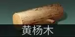 明日之后采集队送什么最好　明日之后采集队兑换表-第12张