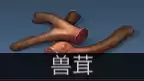 明日之后采集队送什么最好　明日之后采集队兑换表-第28张