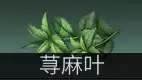 明日之后采集队送什么最好　明日之后采集队兑换表-第33张