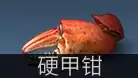 明日之后采集队送什么最好　明日之后采集队兑换表-第37张