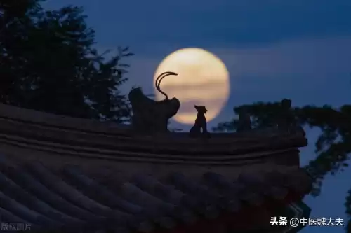 皓月当空惟愿卿之岁月安什么意思　伴万里而鹏程-第7张