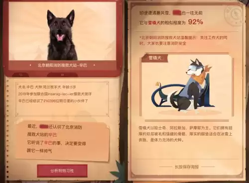 明日之后宠物技能哪个好　明日之后专属技能选什么好-第31张