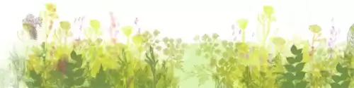 洛克王国独角兽进化紫藤在哪里弄　洛克王国的紫藤-第3张