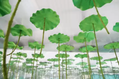 洛克王国独角兽进化紫藤在哪里弄　洛克王国的紫藤-第28张