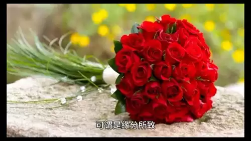 迷你世界生米饭怎么做　怎么给迷你商人吃米饭-第1张