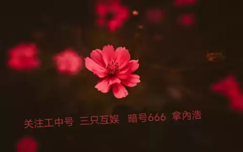 迷你世界激活码在哪里获取　迷你世界2024皮肤激活码最新-第2张