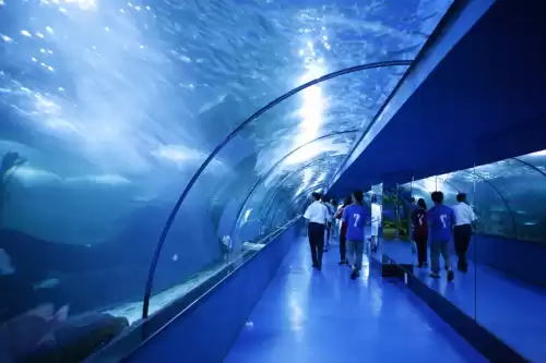 八仙过海是什么玩法　趣味游戏八仙过海技巧-第6张