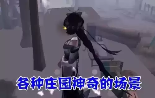 第五人格怎么查看回放　第五人格回放功能介绍-第2张