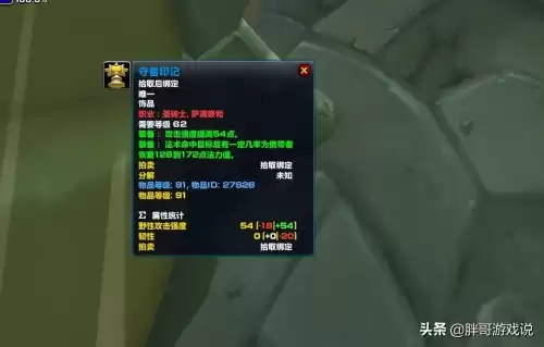 萨尔玛印记在哪兑换　萨尔玛印记饰品必须换-第4张
