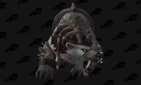 魔兽世界荧光熊外观怎么获得　魔兽世界熊幻化-第3张