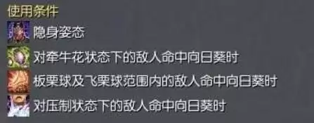 剑灵秘功牌有什么用　剑灵秘功牌-第12张