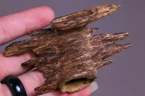 结缘香是什么意思　结缘香的历史背景-第4张
