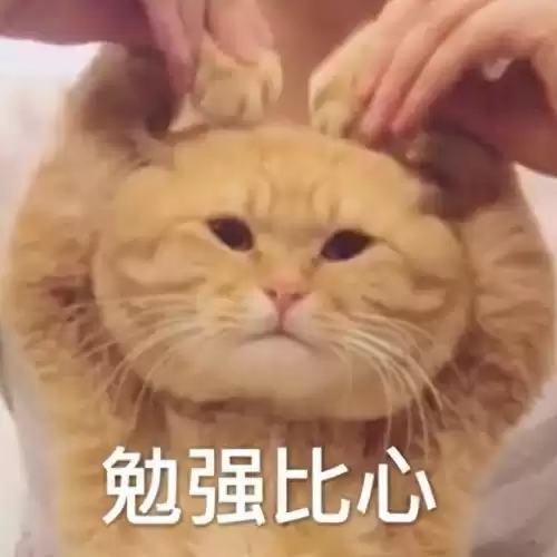 搭配衣服游戏有哪些　换装游戏-第29张