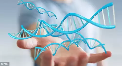 体细胞变异2个是什么意思　细胞变异是怎么回事-第2张